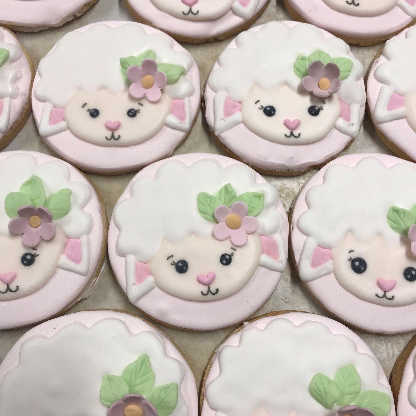SUGAR COOKIE LAMBY