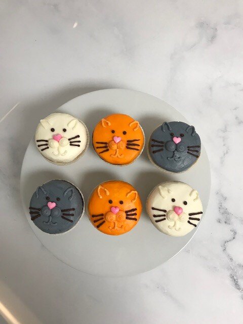 KITTEN CUPCAKE PACKAGE