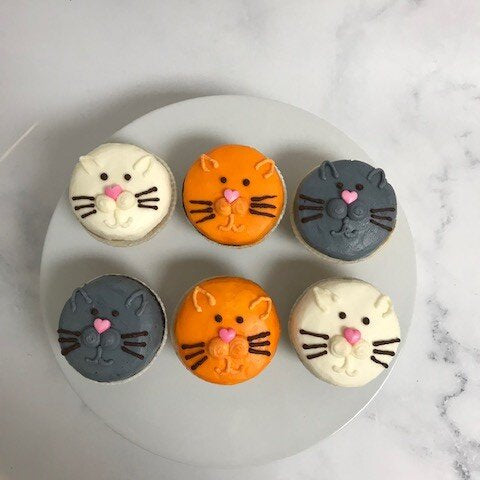 KITTEN CUPCAKE PACKAGE