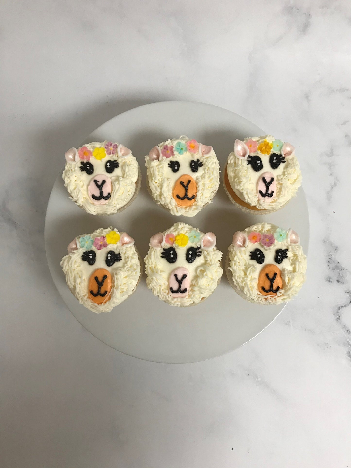 LLAMA CUPCAKE PACKAGE