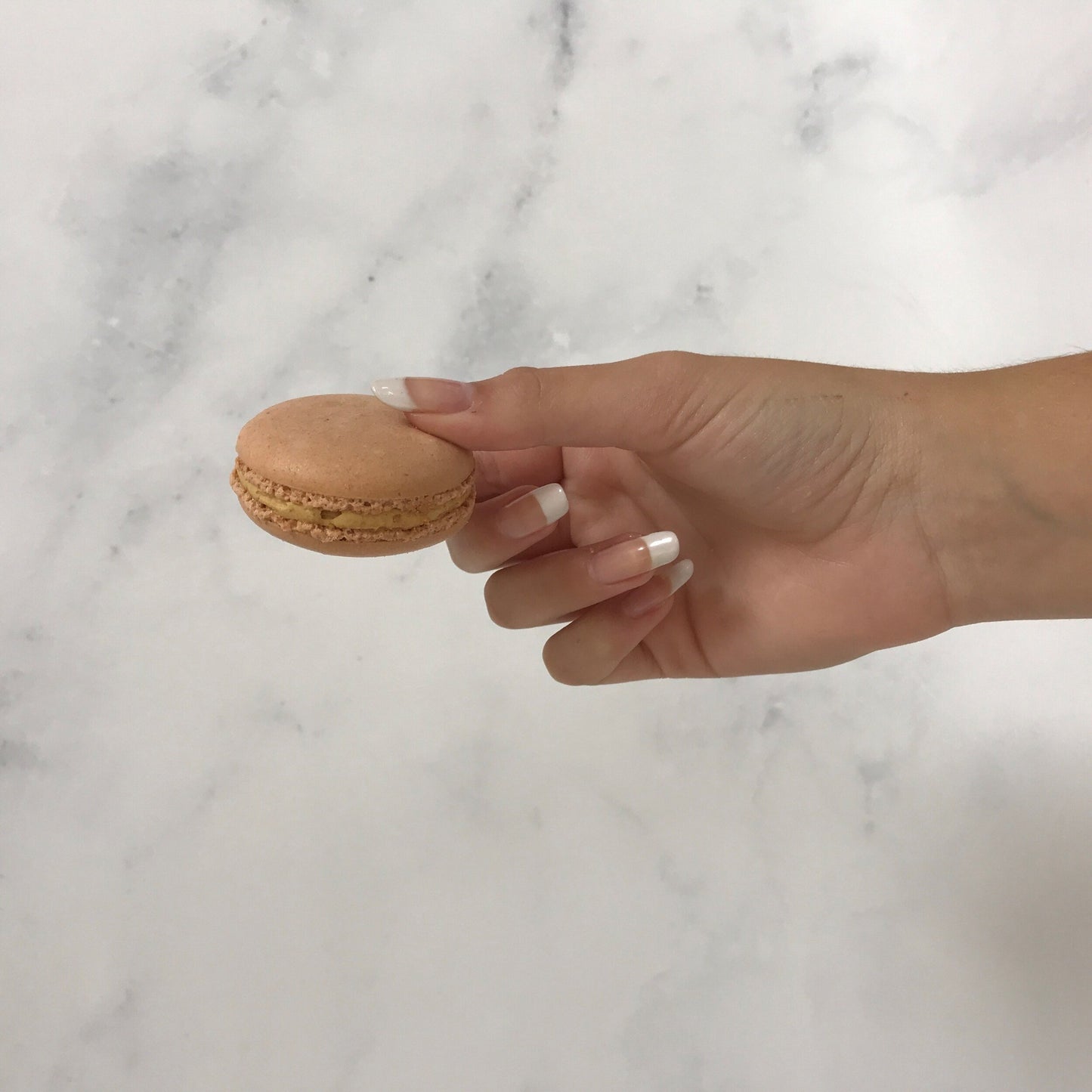 CHOCOLATE MACARON