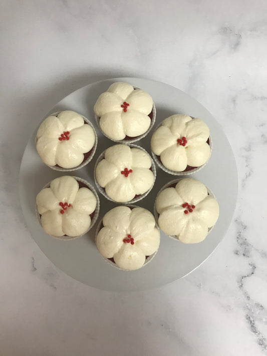 RED VELVET PASO DOBLE