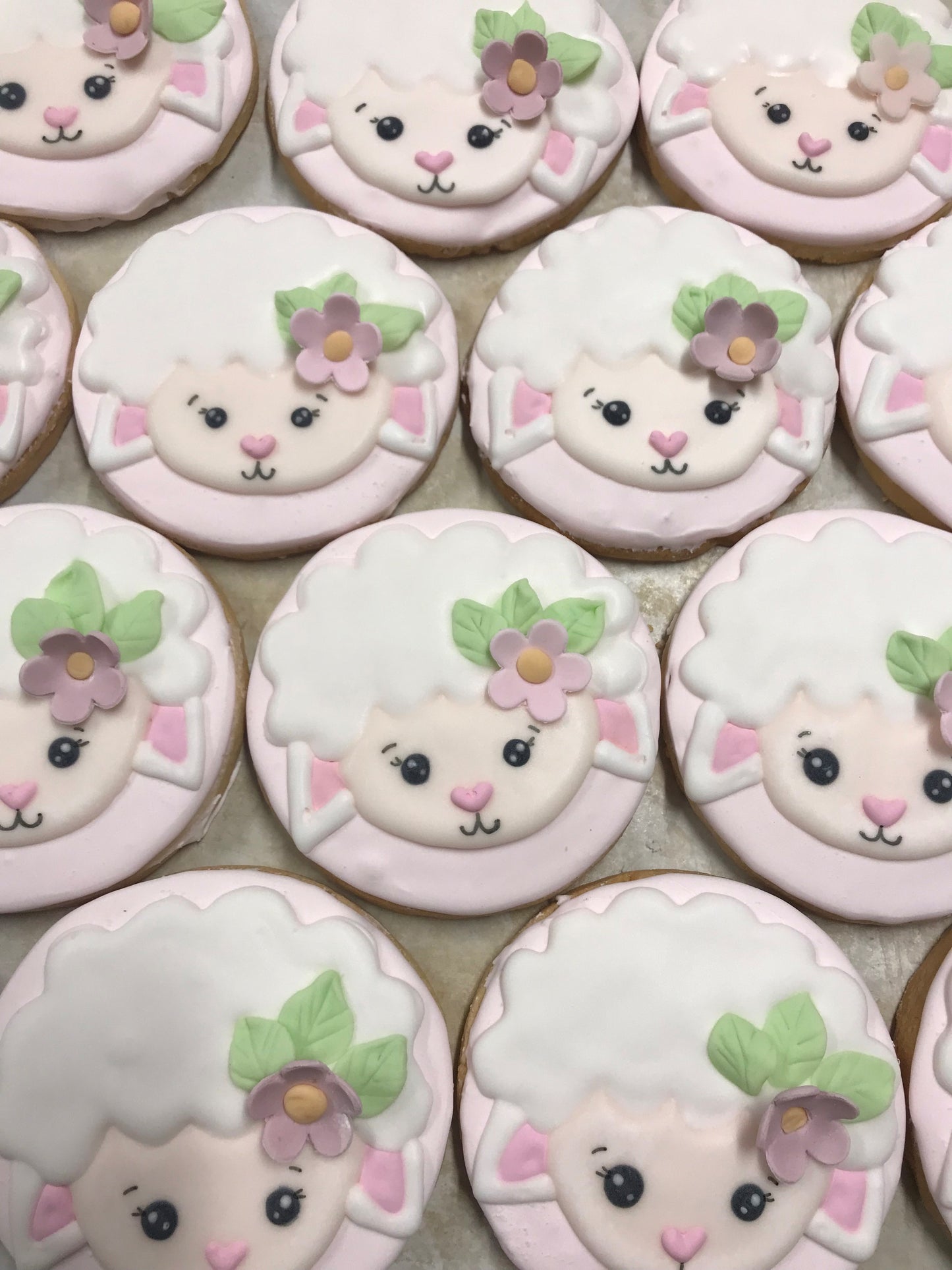 SUGAR COOKIE LAMBY