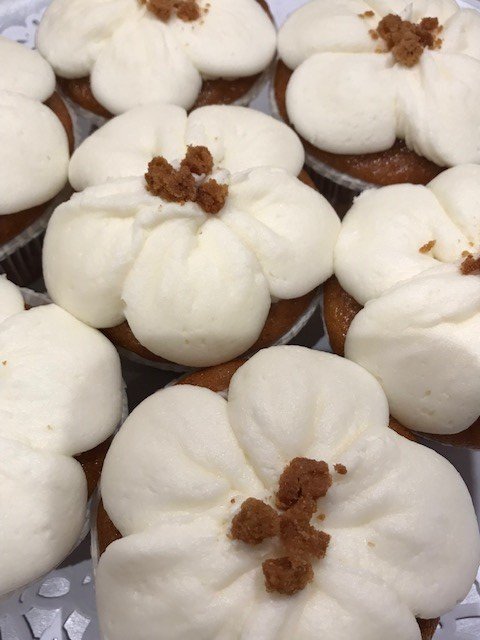 NEW - GINGERBREAD BALBOA